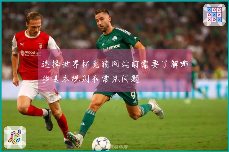 选择世界杯竞猜网站前需要了解哪些基本规则和常见问题