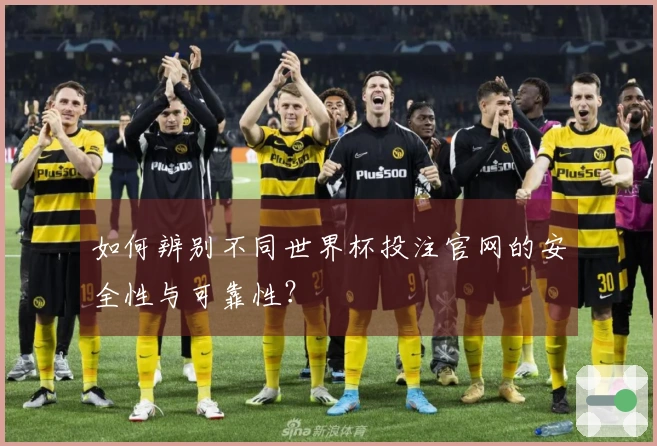 如何辨别不同世界杯投注官网的安全性与可靠性?